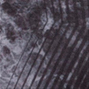 E.THUNDER BLACK